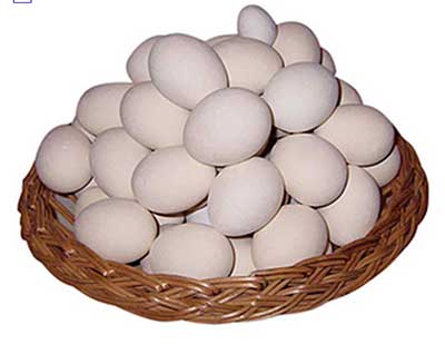 vantagens da dieta ovos deliciosos
