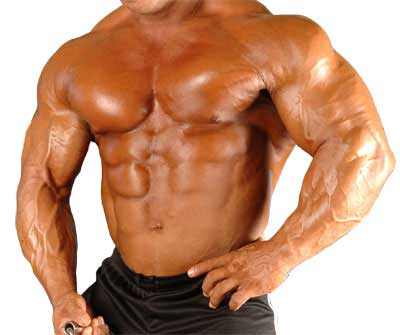 shape top Suplementos para Definição