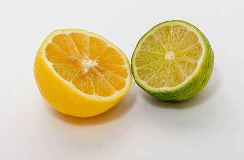 com limão e laranja
